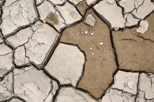 Texturas de sequías