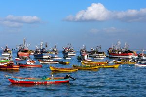 Tumbes 1