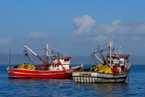 Tumbes 2