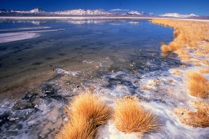 Salar de Pedernales