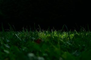 Poco de luz