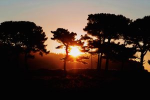 Atardecer