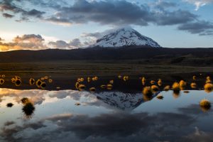 Volcán Sajama al amanecer