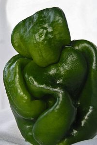 Oprimido