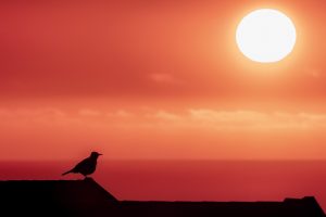 A la espera del atardecer