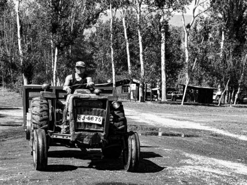 VALESKA VIVAR - FCCV - EL TRACTOR800 x 600